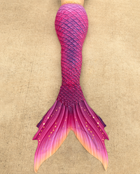 Paradiso Discovery Fabric Tail