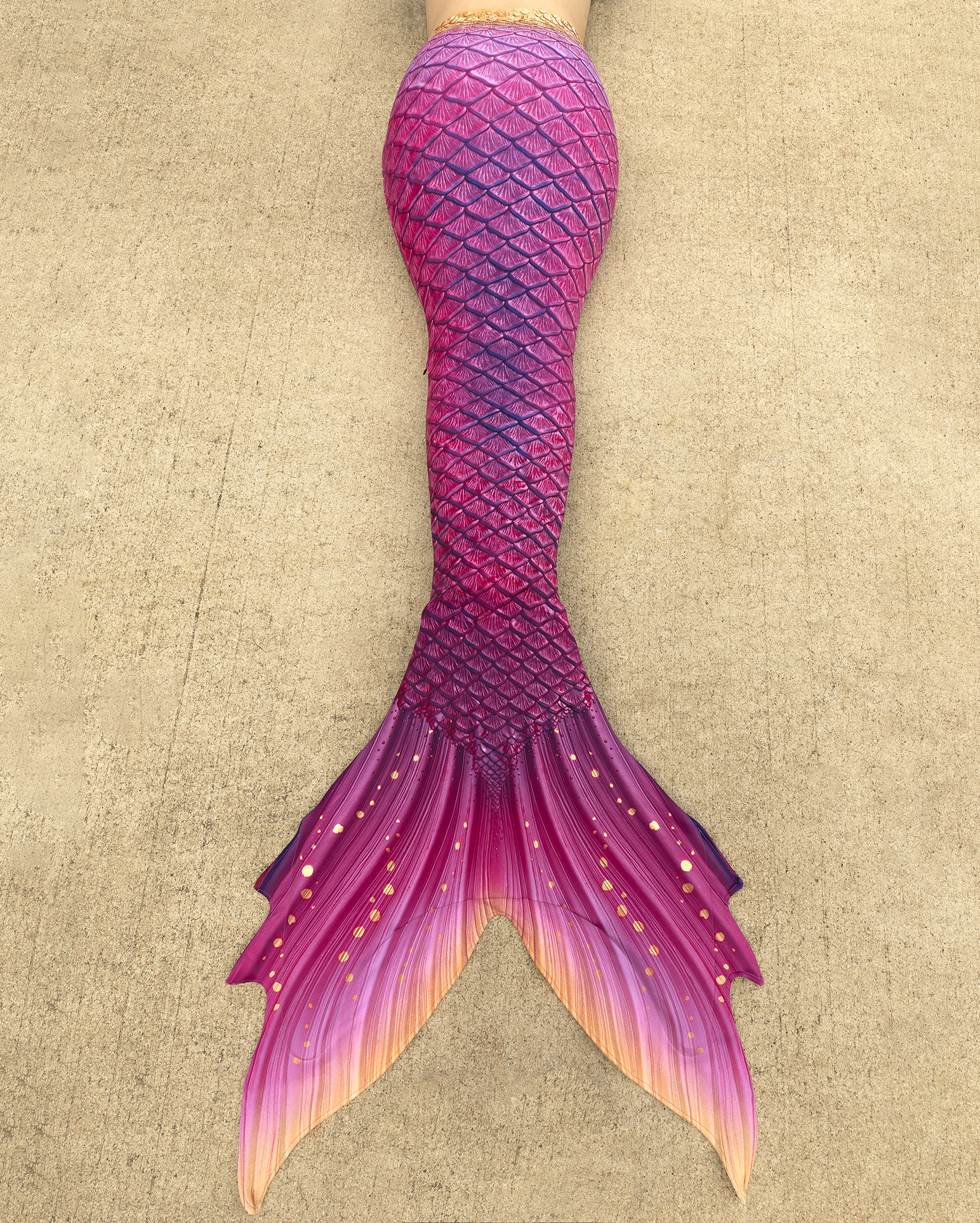 Paradiso Discovery Fabric Tail