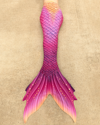 Paradiso Discovery Fabric Tail