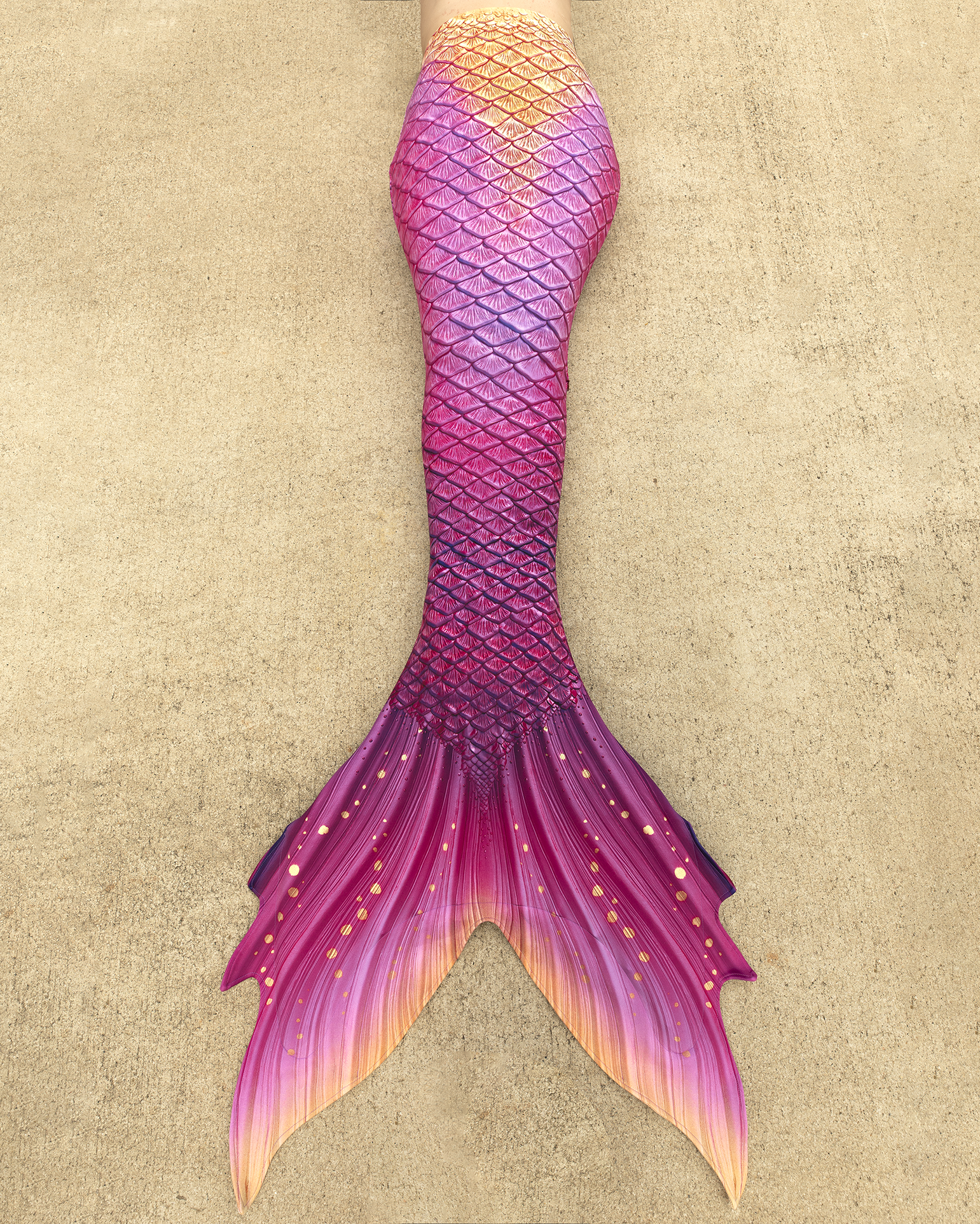 Paradiso Discovery Fabric Tail