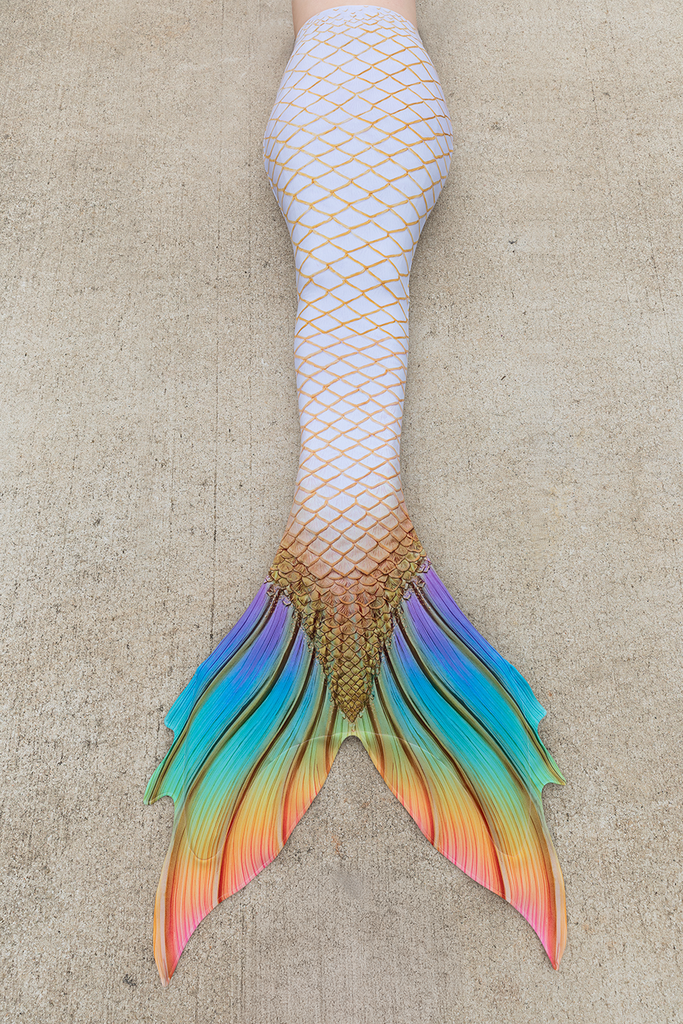 Pegasus Discovery Fabric Tail