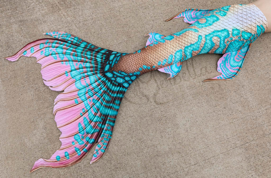 Queen Conch Merbella by Finfolk Signature Fabric Tail - READY TO SHIP