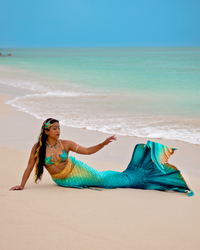 Bimini Signature Fabric Tail