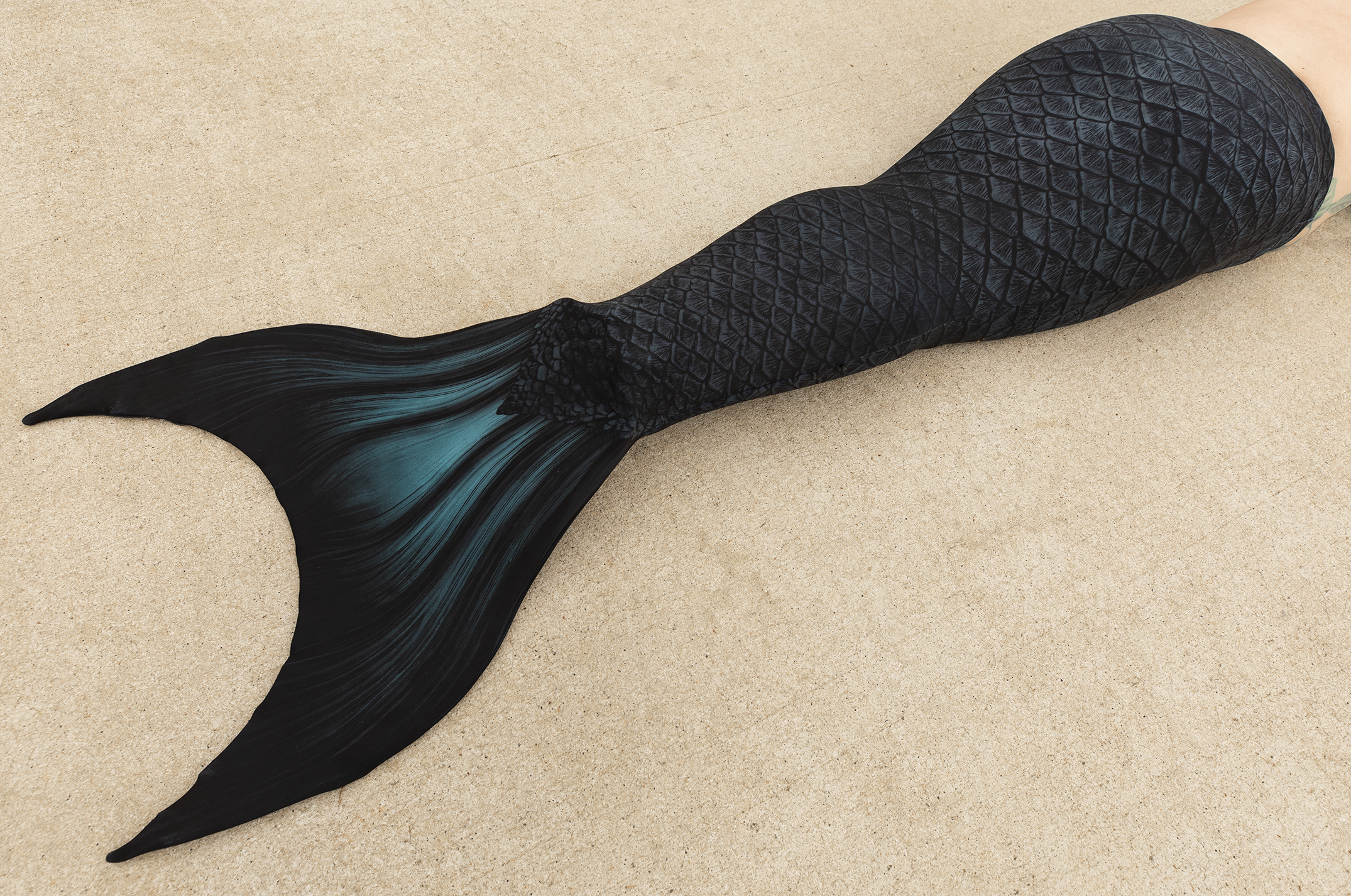 Silhouette Discovery Fabric Tail - READY TO SHIP