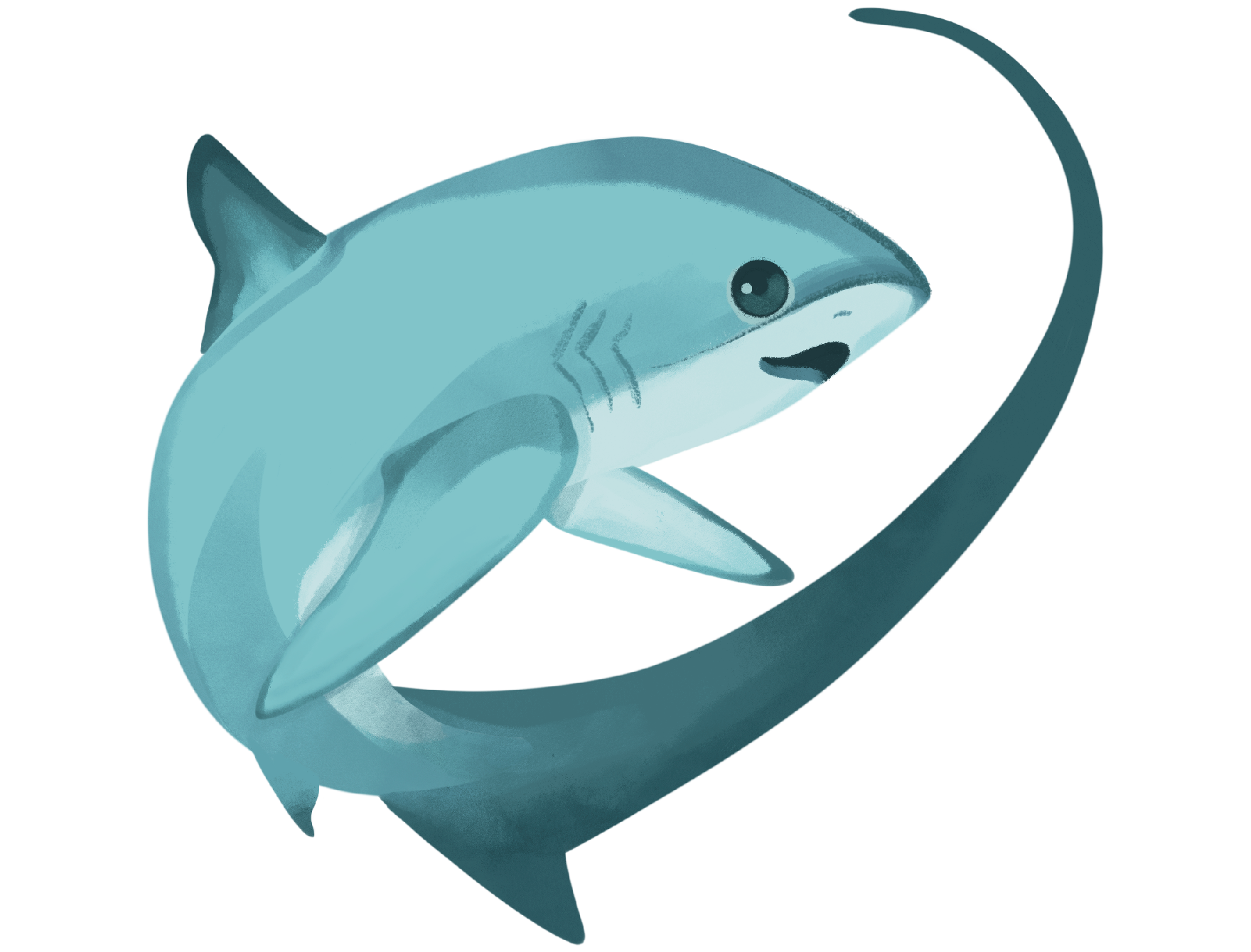 Thresher Shark Sticker