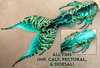 Void Merbella by Finfolk Signature Fabric Tail