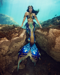 Azul Merbella by Finfolk Signature Fabric Tail - READY TO SHIP