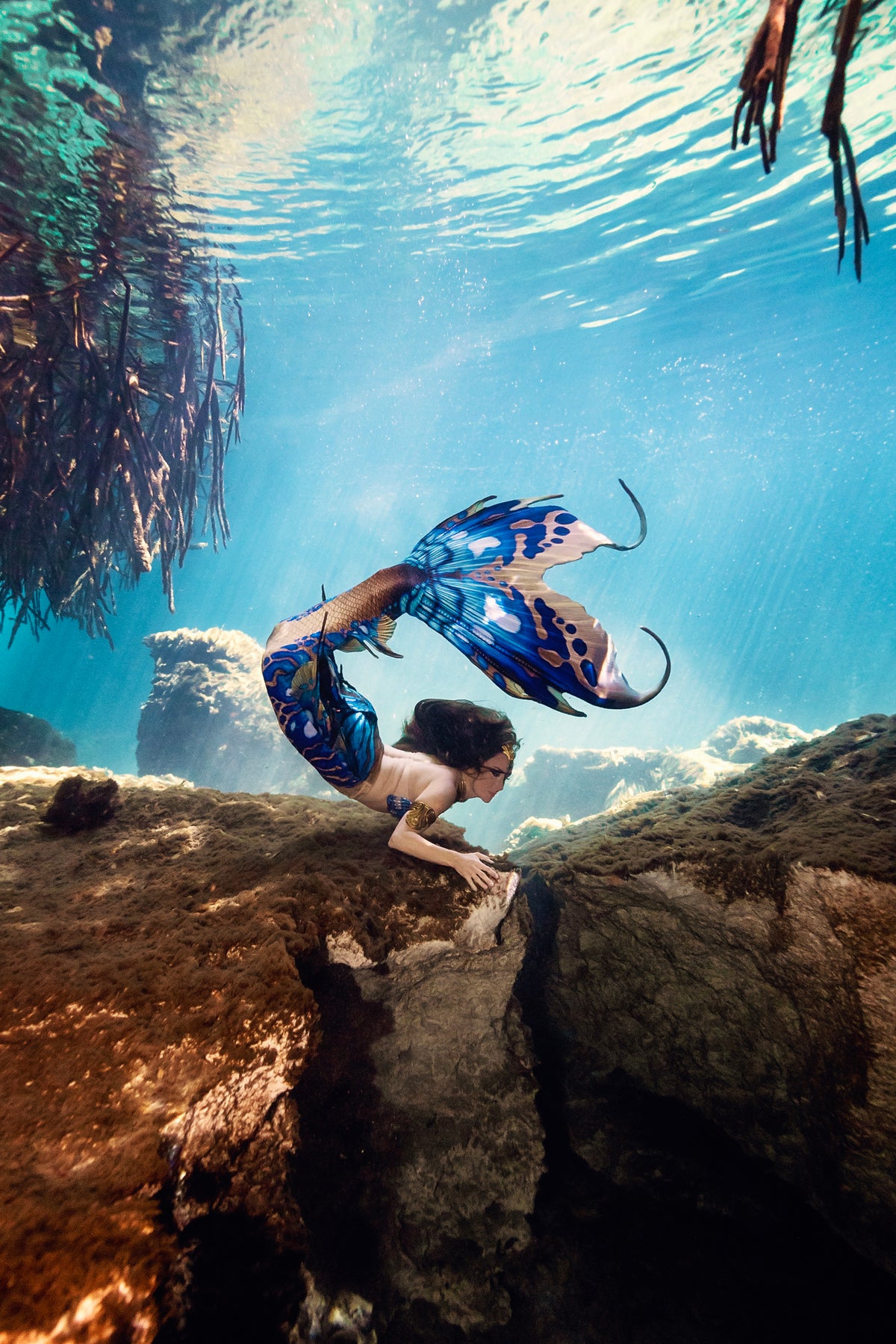 Azul Merbella by Finfolk Signature Fabric Tail - READY TO SHIP