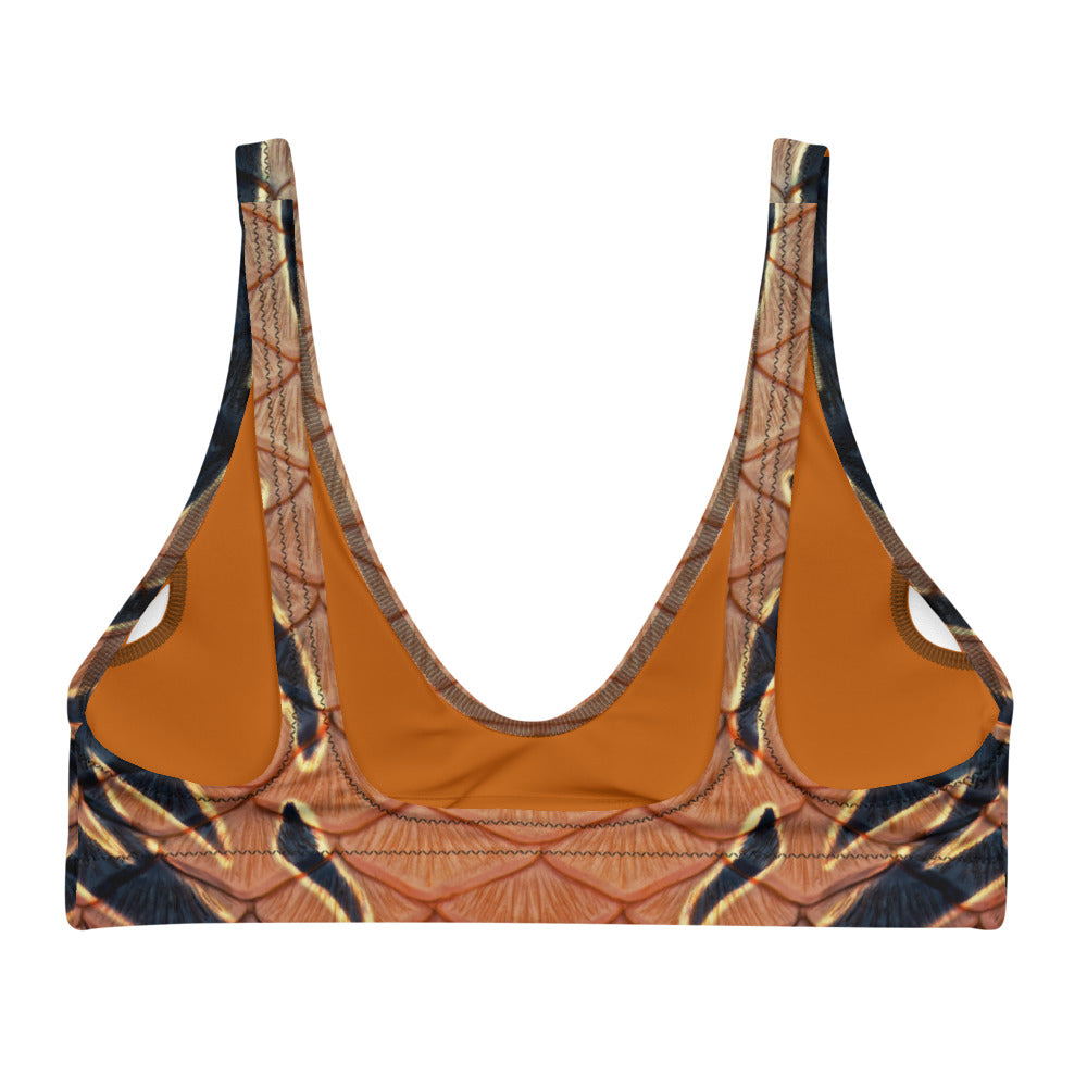 Dark Harvest Recycled Padded Bikini Top