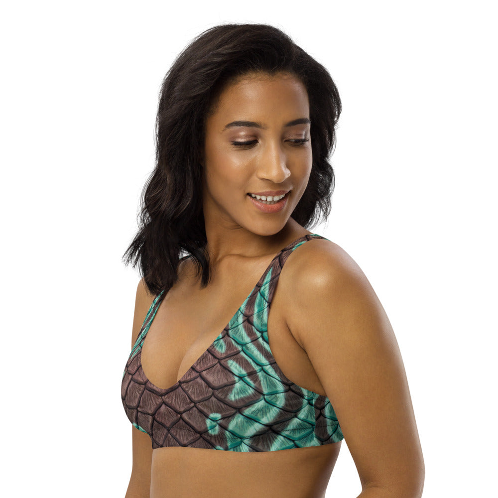 Song of the Sea Recycled Padded Bikini Top
