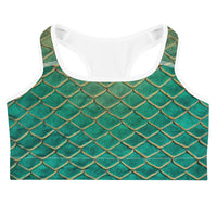 The Ten Year Sports Bra