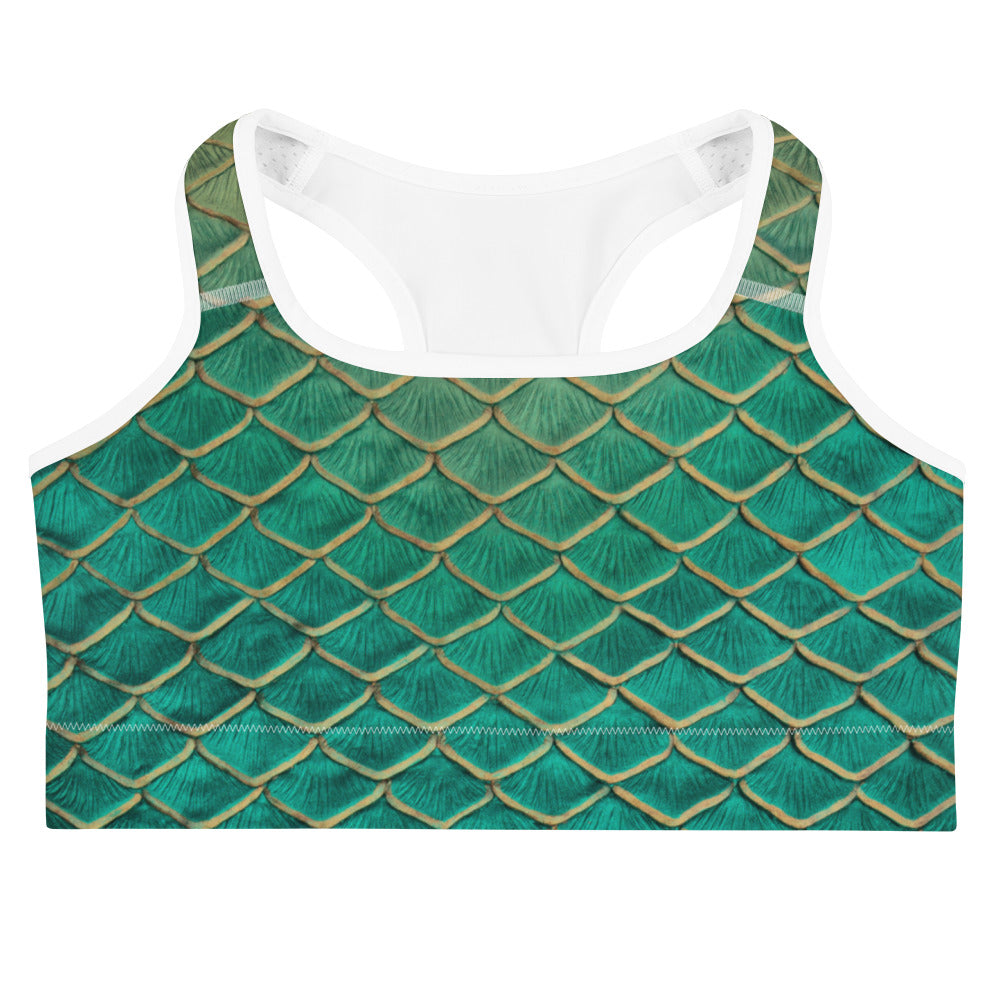 The Ten Year Sports Bra