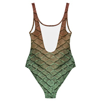 Riverbend One-Piece Swimsuit