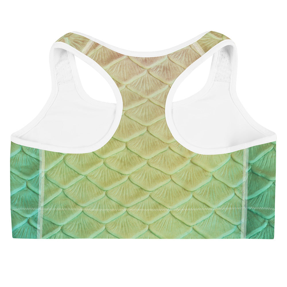 Loch Ness Sports Bra