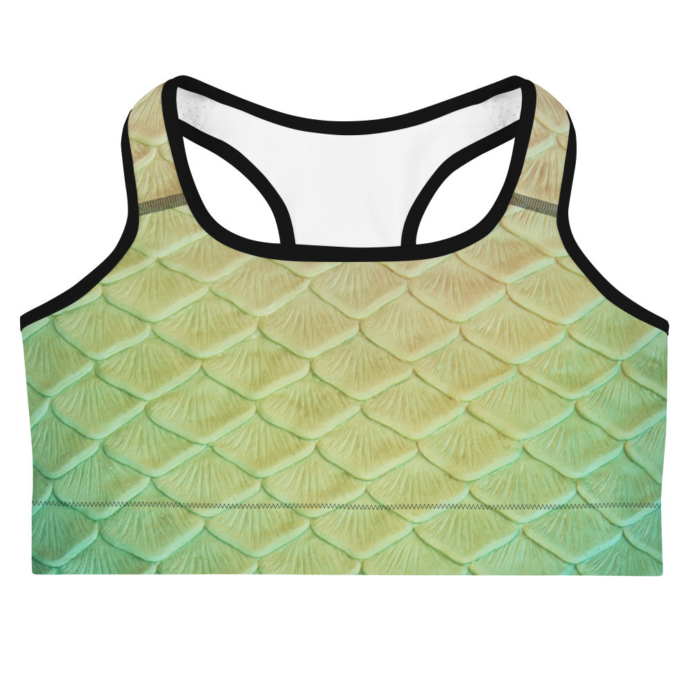 Loch Ness Sports Bra