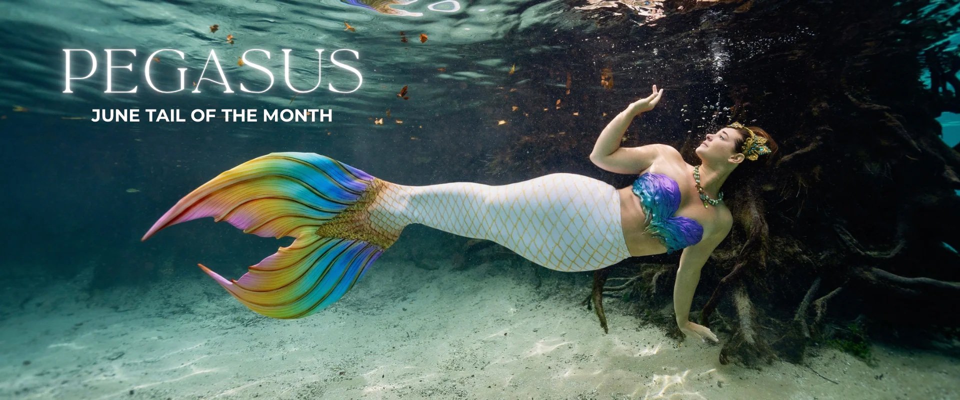 A woman wearing Finfolk's Ash Walker signature fabric tail and accessories underwater